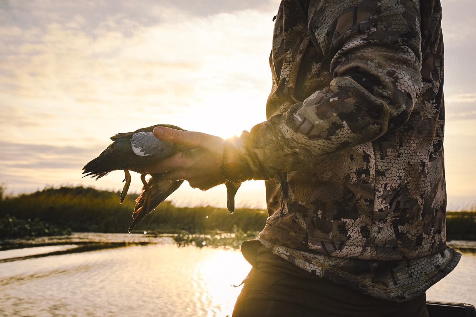 Gators, Dogs & Early Teal Season in Louisiana