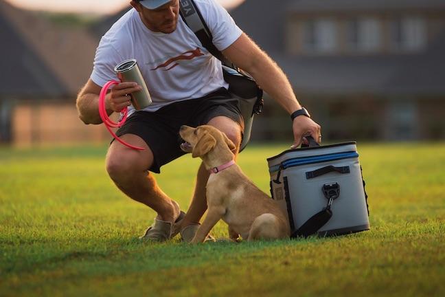 Crate Training a Puppy with G1 Small Kennel