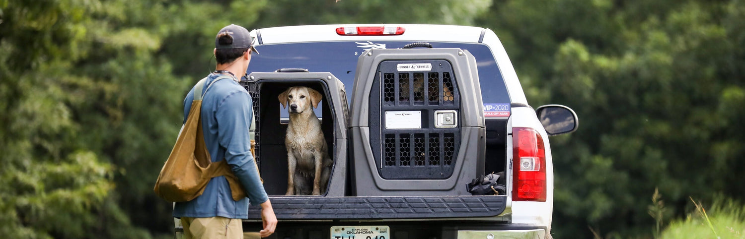 A dog sits in an Intermediate G1™ Kennel on the back of a truck bed.