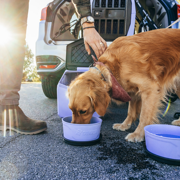 PERSONALIZED GUNNER DOG BOWL - LAVENDER