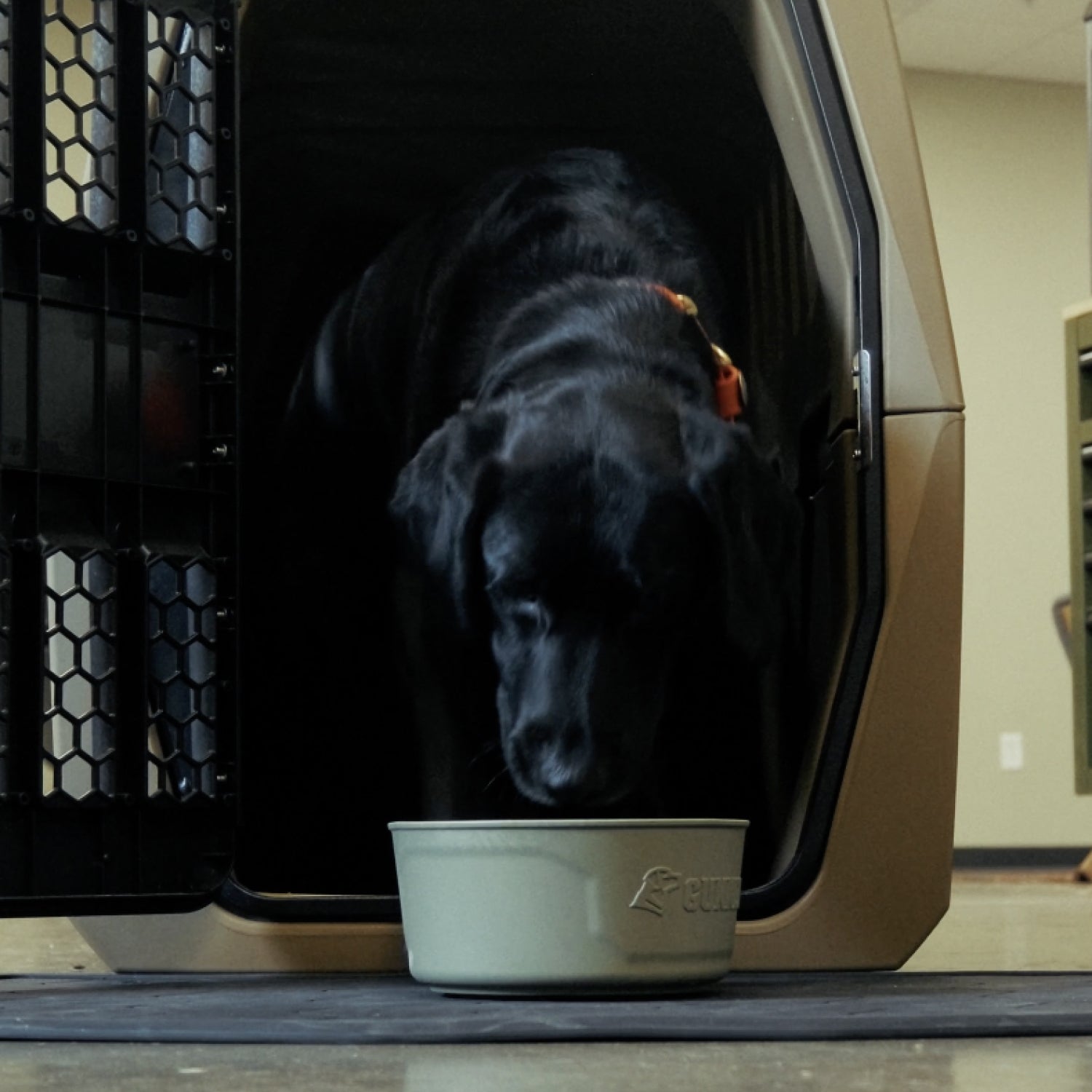 A black dog wearing a collar steps out of a crate and sniffs a light-colored food bowl placed on the GUNNER BOWL MAT - BLACK positioned on the floor in front of it.