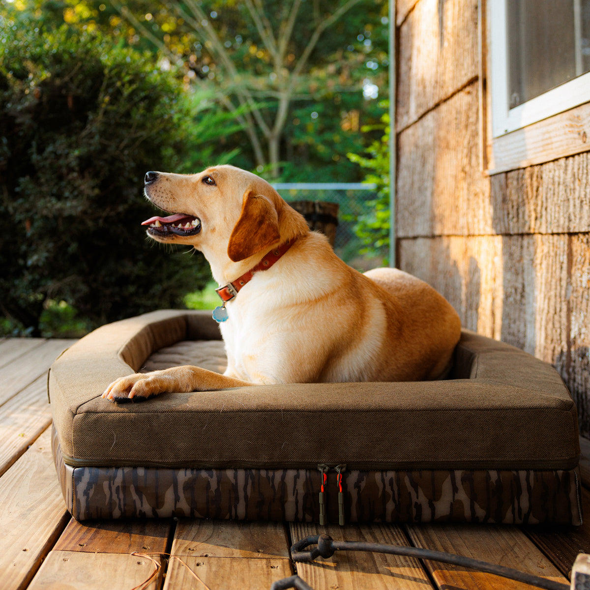 A yellow Labrador retriever with a red collar lies comfortably on the GUNNER CAMP BED on a wooden porch, looking up and panting. Trees and greenery are visible in the background, creating a peaceful scene reminiscent of Mossy Oak Bottomland.