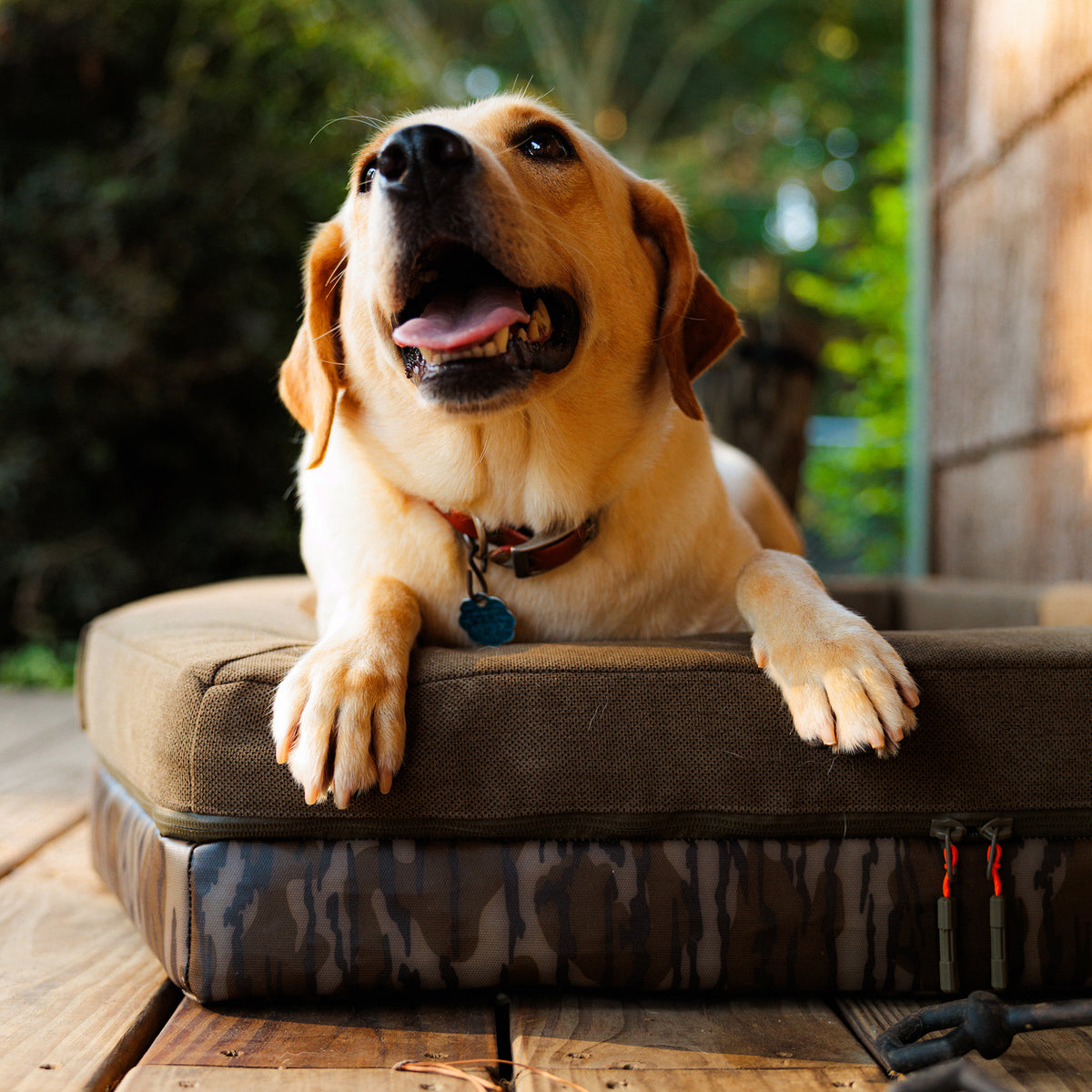 A happy yellow Labrador retriever with a red collar lies on a durable GUNNER CAMP BED in the Mossy Oak Bottomland pattern on a wooden deck, looking up with its mouth open and tongue out.