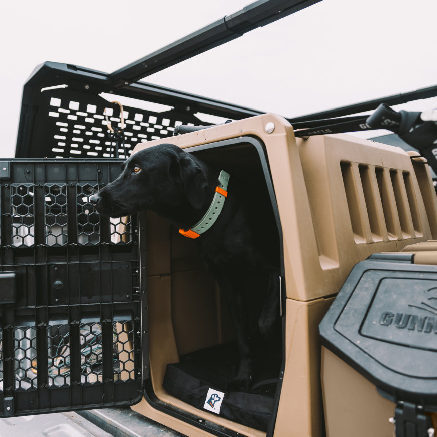 A black dog wearing a green and orange collar sits inside a tan dog crate on a truck bed, with black plastic crate panels visible on both sides.