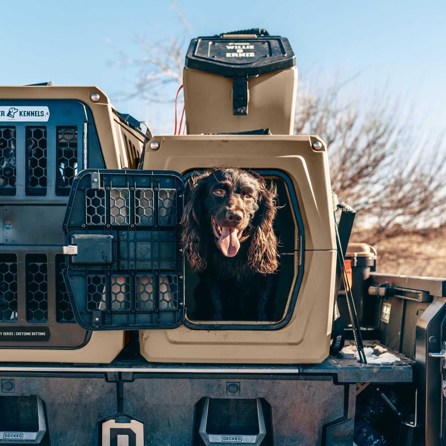 A black dog sits happily in the window of a tan dog truck bed, with another tan dog crate and a cooler stacked behind it on a pickup truck bed outdoors under a clear blue sky.