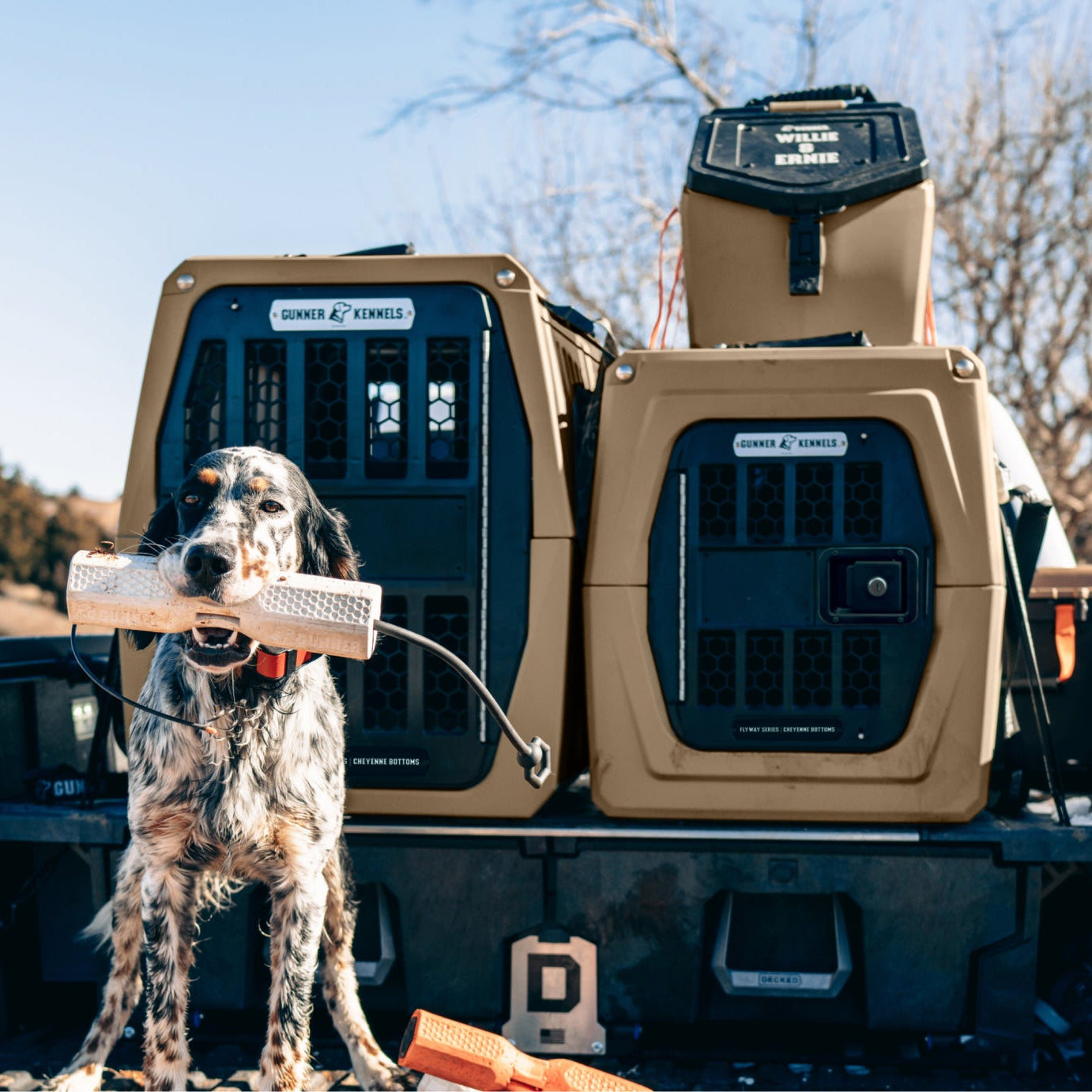 A dog stands in the bed of a pickup truck holding a white toy in its mouth, with two tan and black dog carriers and a cooler behind it. The scene is outdoors in a real environment, so this is Lifestyle rather than Product/Packaging.