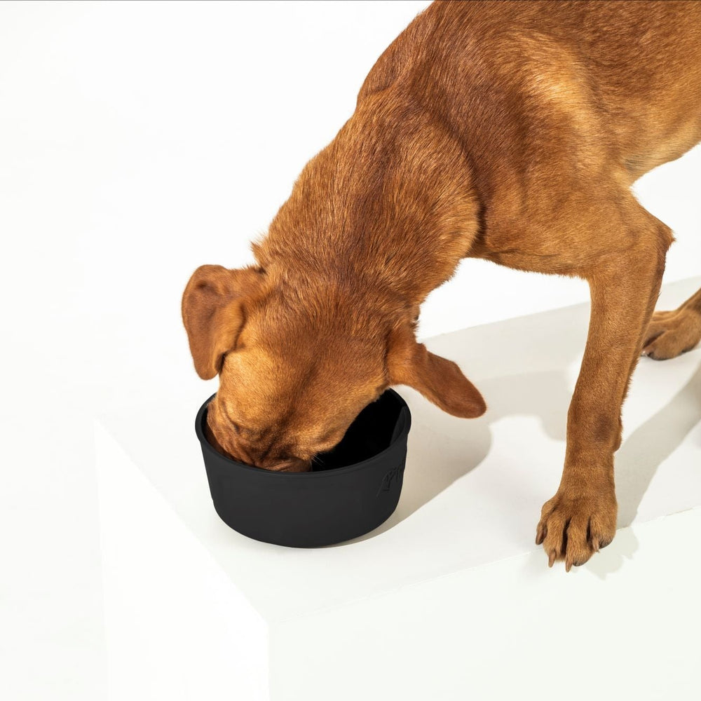 PERSONALIZED GUNNER DOG BOWL BLACK