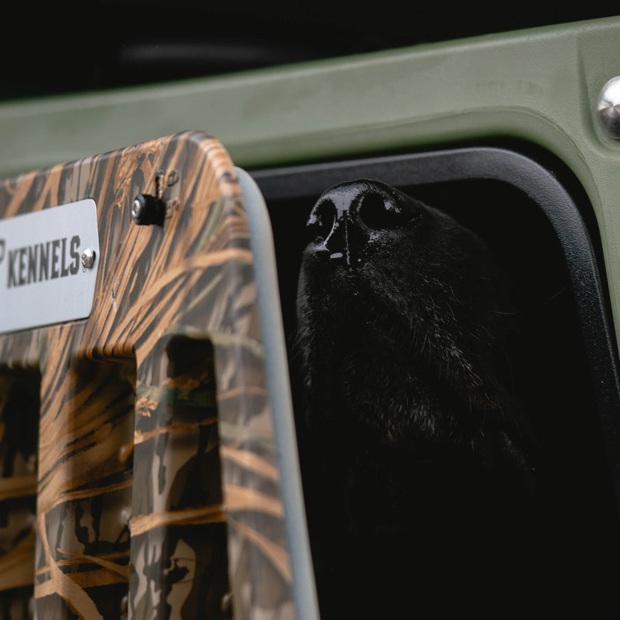 A close-up of a black dogs nose peeking out from a partially open GUNNER G1™ KENNEL in Green/Mossy Oak Shadow Grass, with the rest of the dog mostly in shadow.
