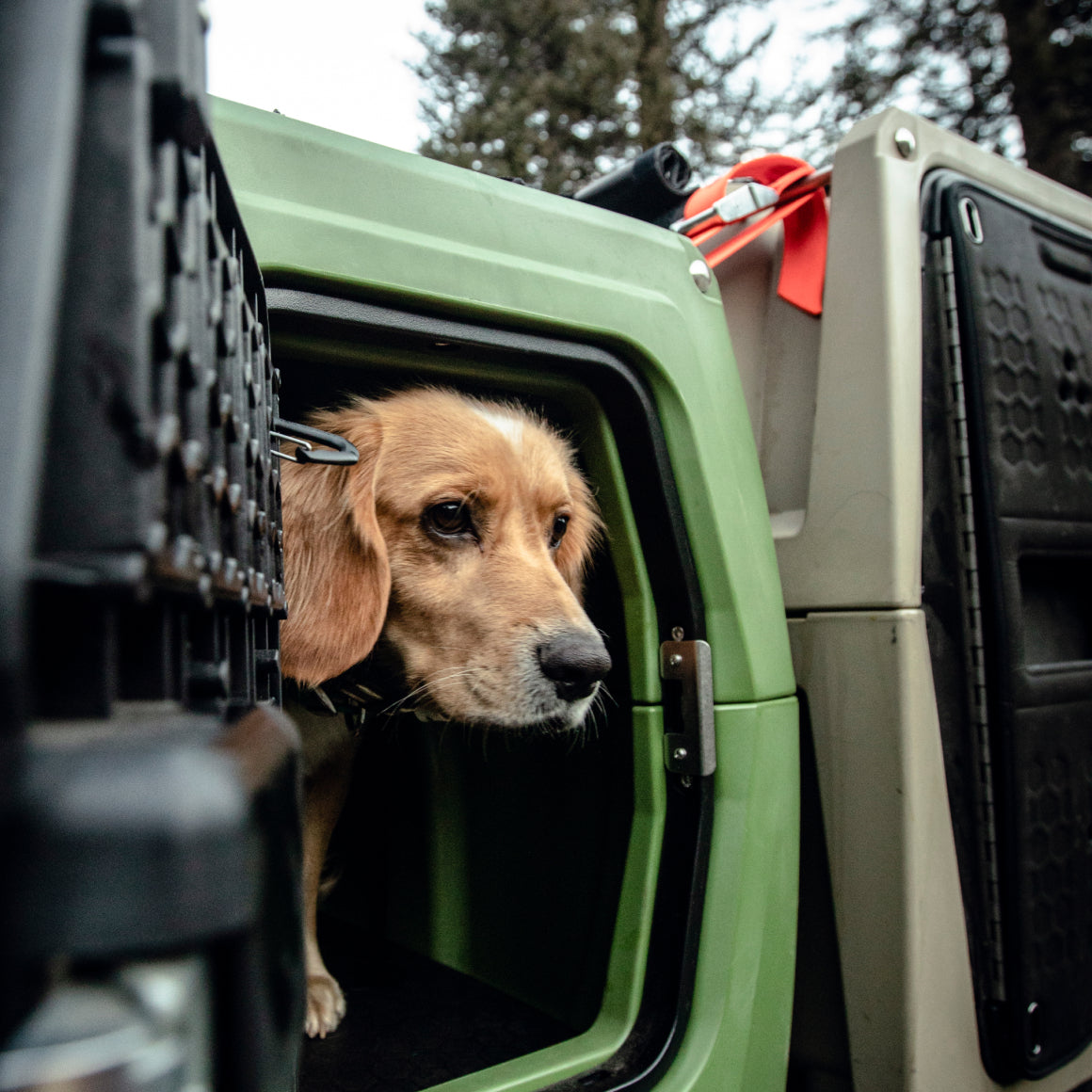 Orders gunner kennels dog crate