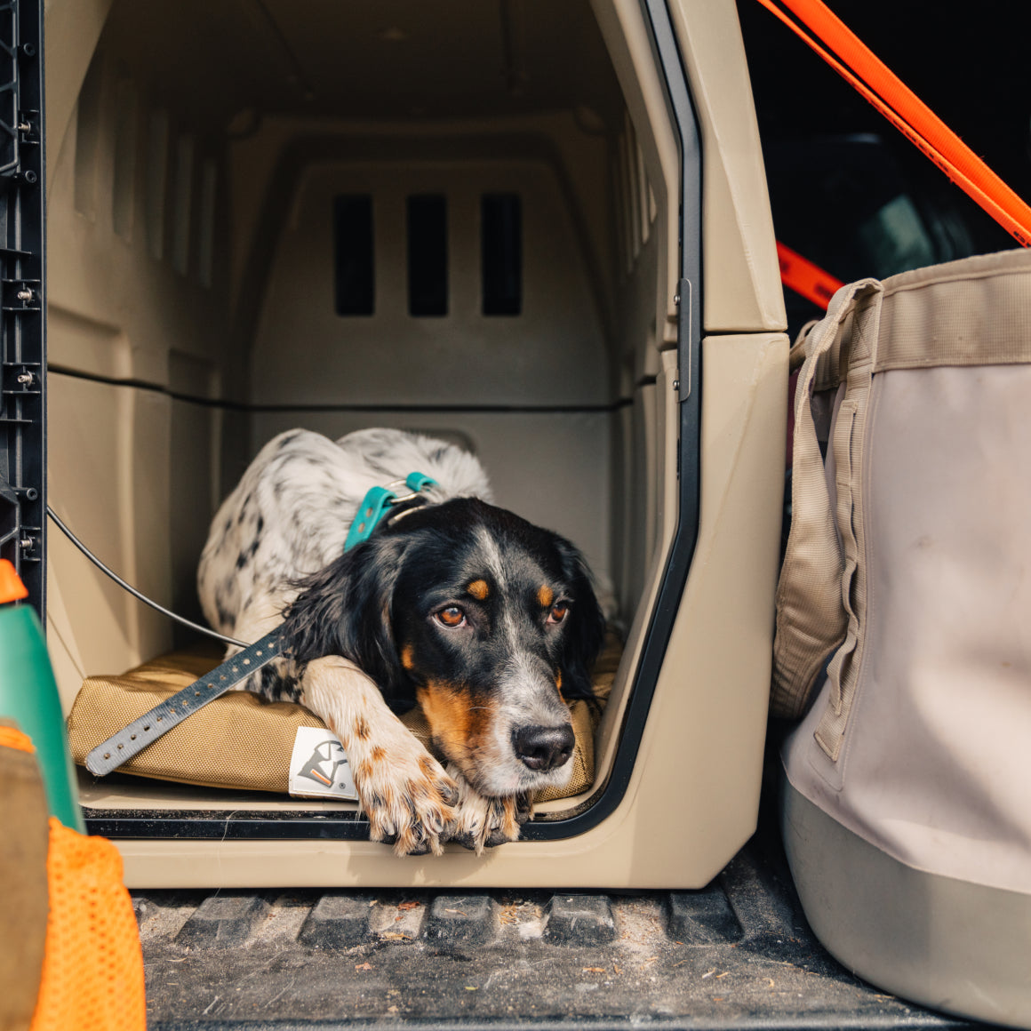 ORTHOPEDIC DOG BED