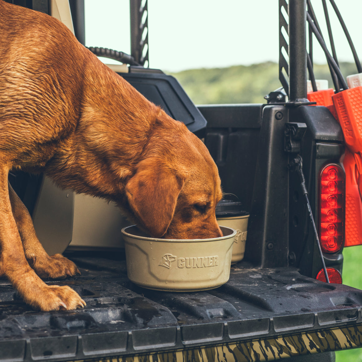 GUNNER DOG BOWL - TAN