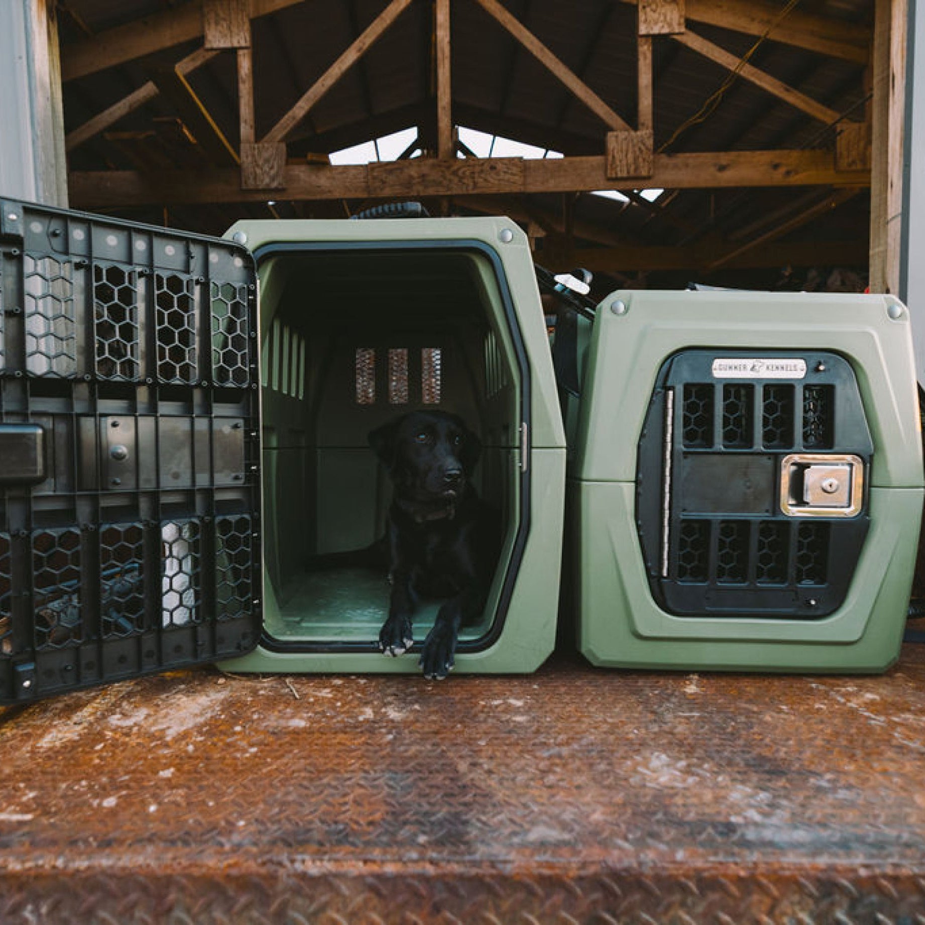 A black dog rests inside an open GUNNER G1™ KENNEL in Gunner Green with a metal door—one of the safest crates—beside another closed crate on a rusty metal surface within a wooden structure.