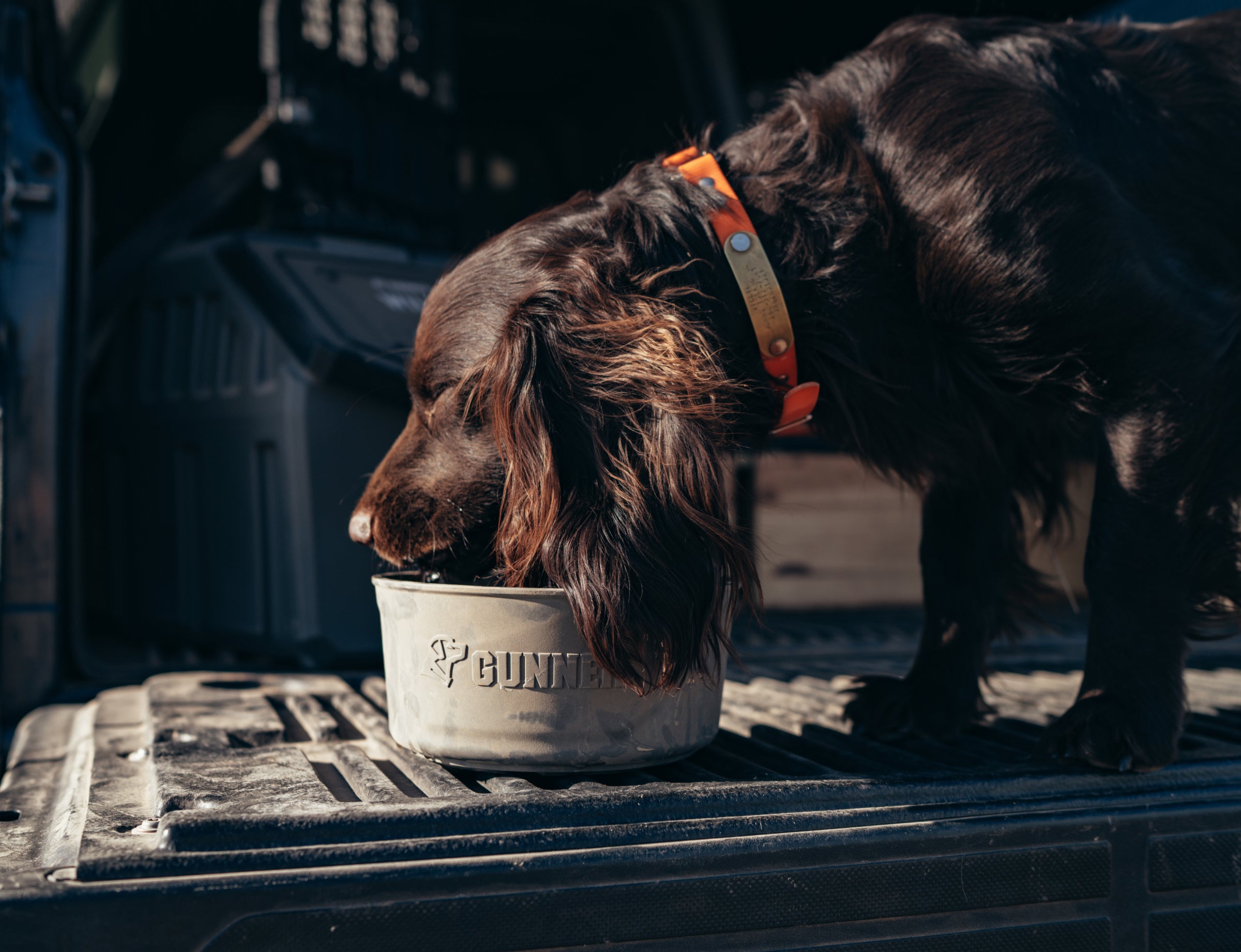 GUNNER DOG BOWL - GUNMETAL