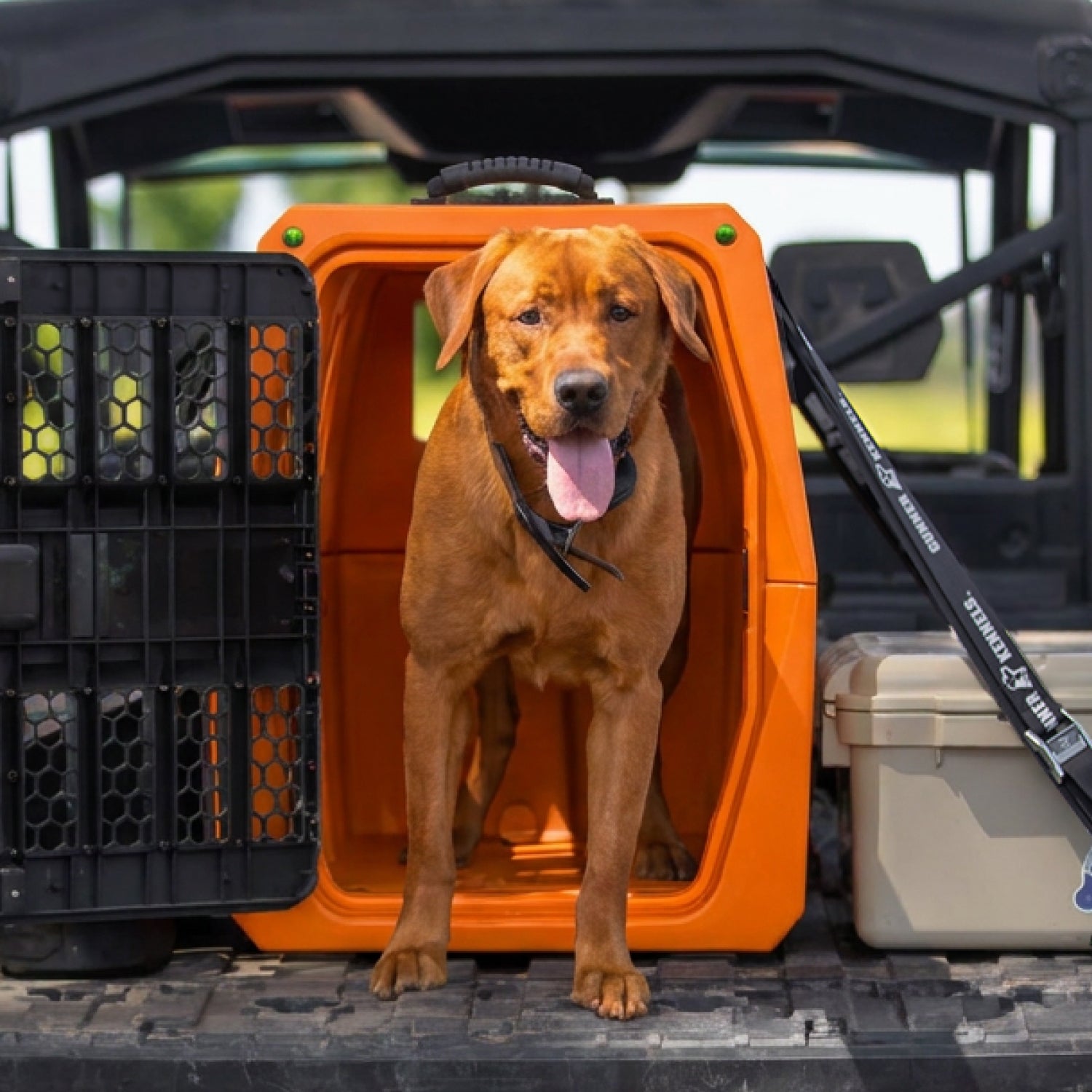 A brown dog stands in a GUNNER G1™ KENNEL - 2F.7 ORANGE CRUSH, tongue out, inside a vehicle. Nearby storage highlights the shock protection and safety of this premium double-walled crate for pets on the go.