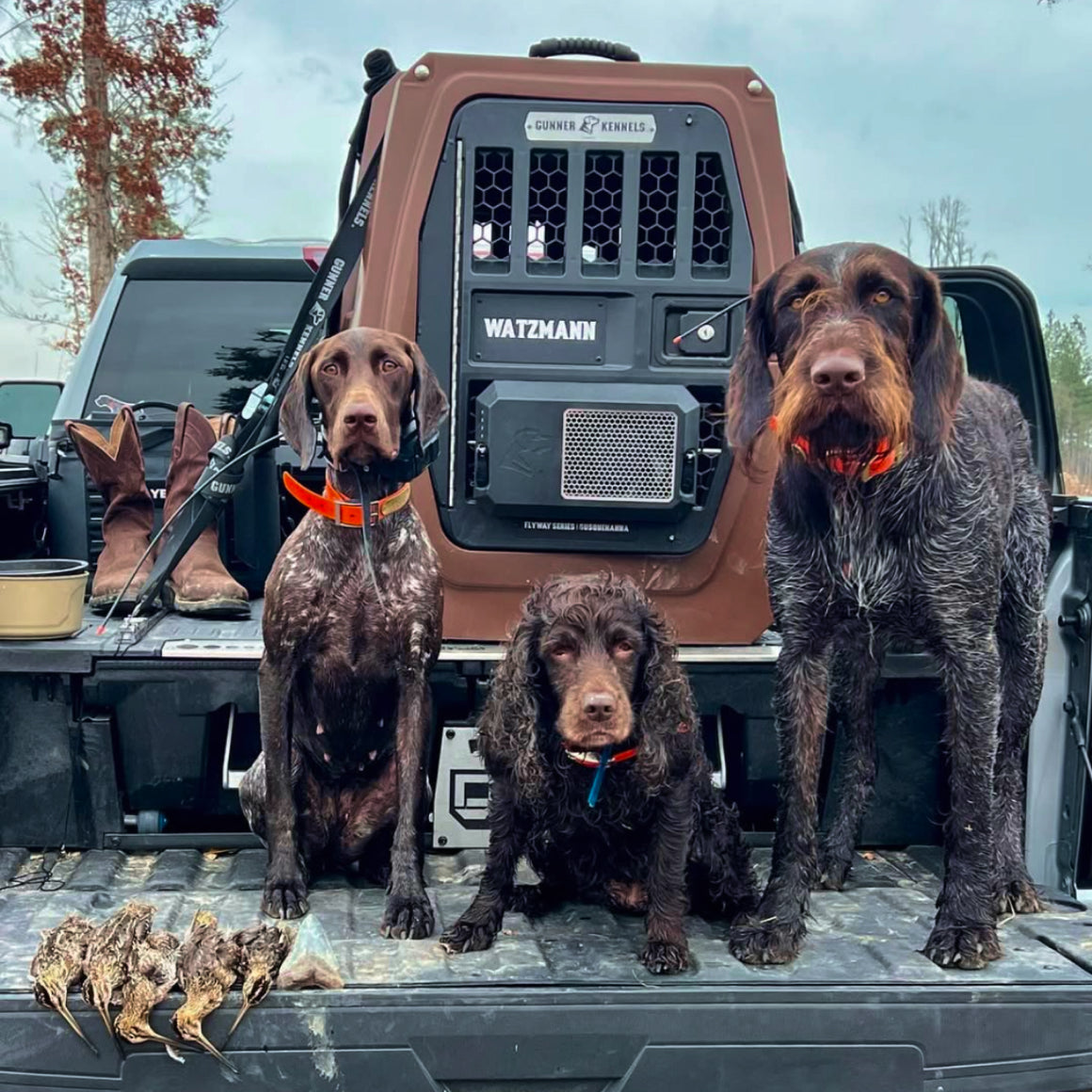 GUNNER Dog Crate | Crash Tested Travel | GUNNER Kennels
