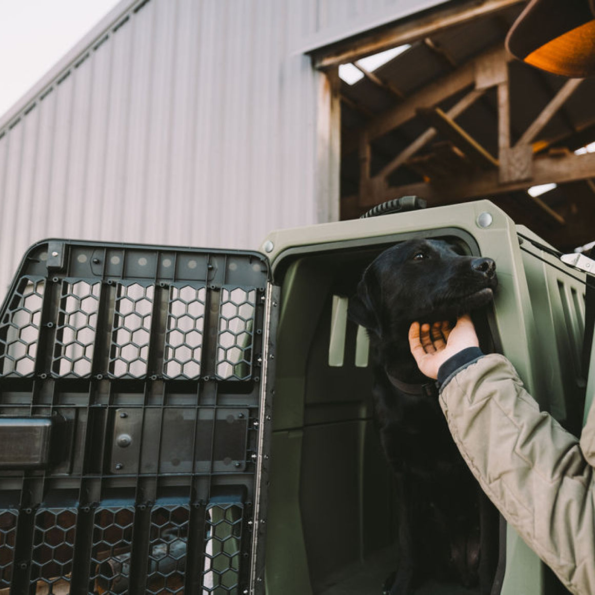 A person pets a black dog standing inside a GUNNER G1™ KENNEL in Gunner Green, positioned outside a building with a metal exterior.