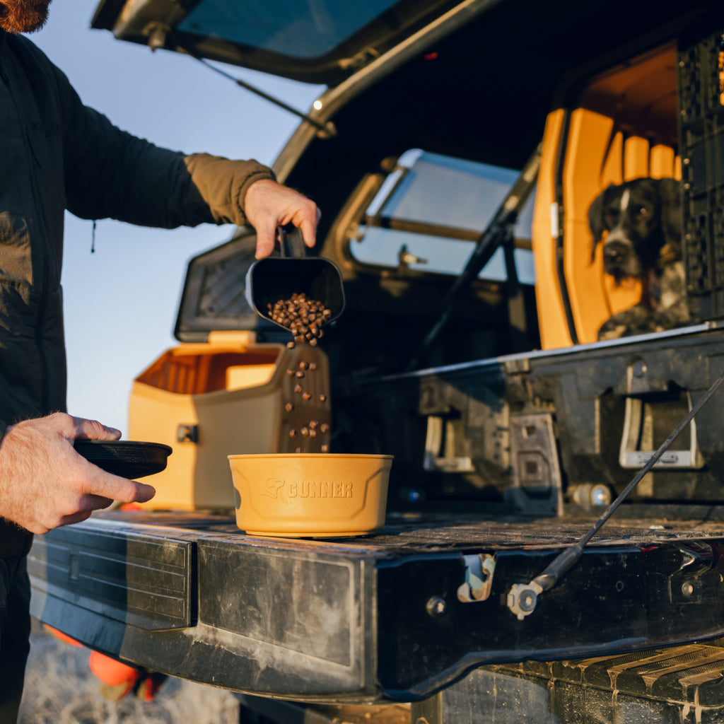 A person pours kibble into a tan dog bowl on the open tailgate, with a working dog sitting inside a travel crate beside outdoor gear in the back.