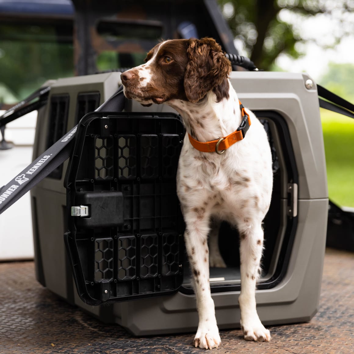 GUNNER Dog Crate Crash Tested Travel GUNNER Kennels