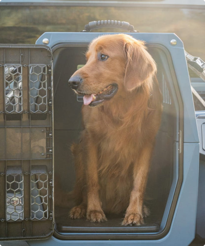 Gunners Up Dog Ramp GUNNER Dog Bumper | Premium Gundog Training Tool | Retrieving Dummies