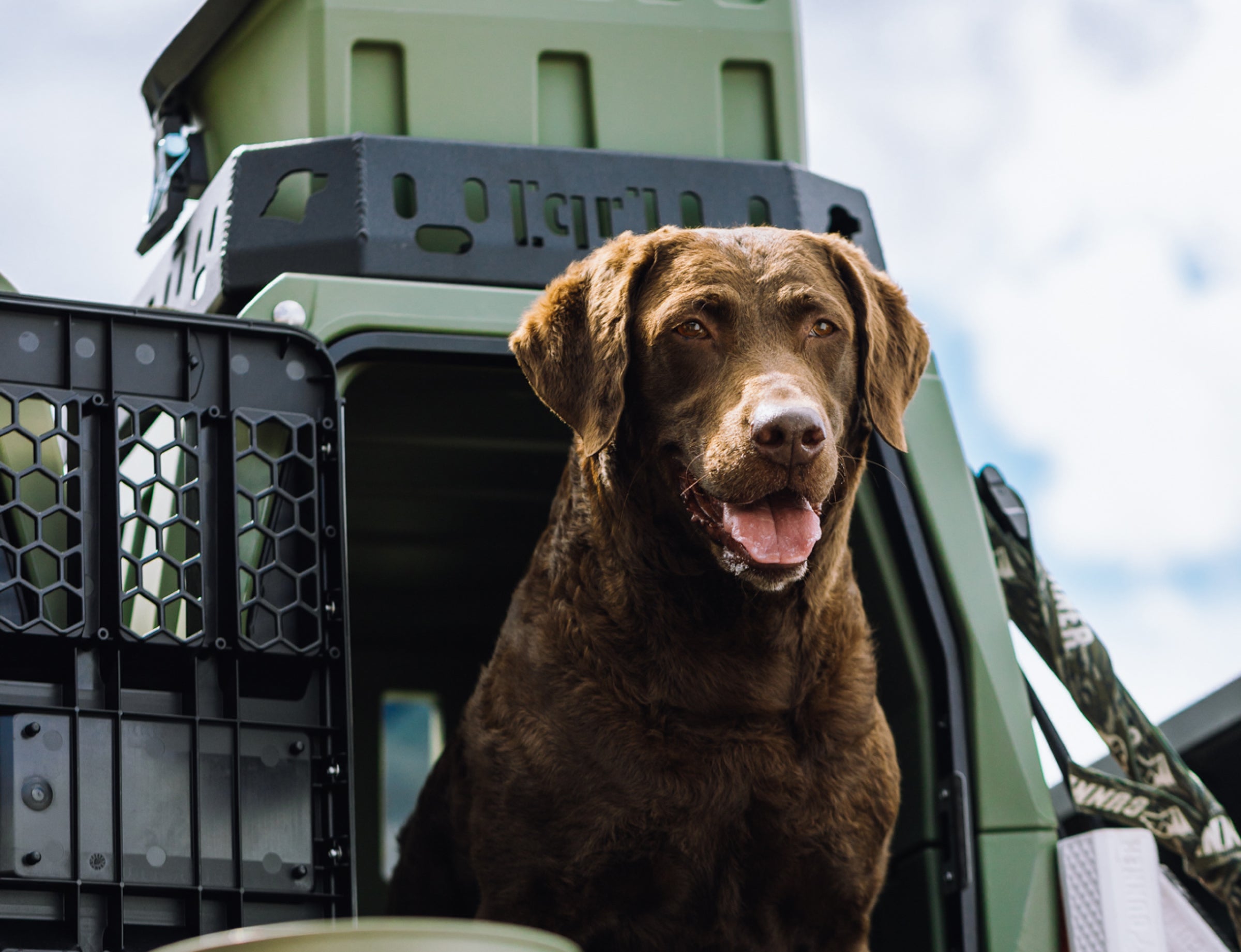 A brown dog with curly fur stands inside a GUNNER G1™ KENNEL in Gunner Green, looking out with its mouth open and tongue out. This American-made crate ensures safety as a partly cloudy sky frames the background.