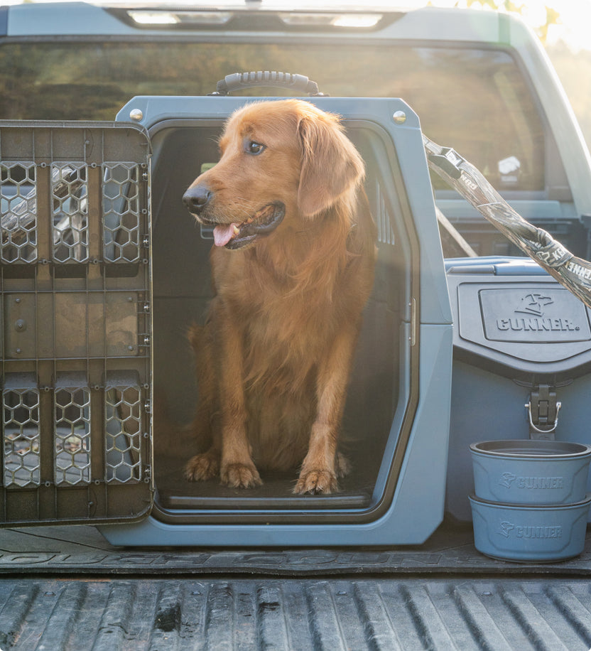 Gunners Up Dog Ramp GUNNER Dog Bumper | Premium Gundog Training Tool | Retrieving Dummies