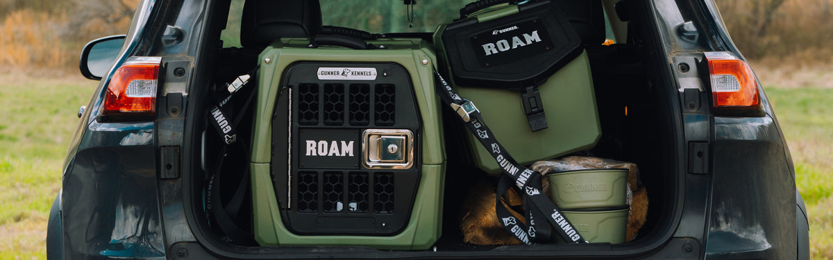 An open car trunk holds a green pet crate labeled “ROAM,” a matching storage box, essential outdoor gear, a collapsible bowl, and some straps, all ready for travel or an outdoor adventure with your hunting dog.
