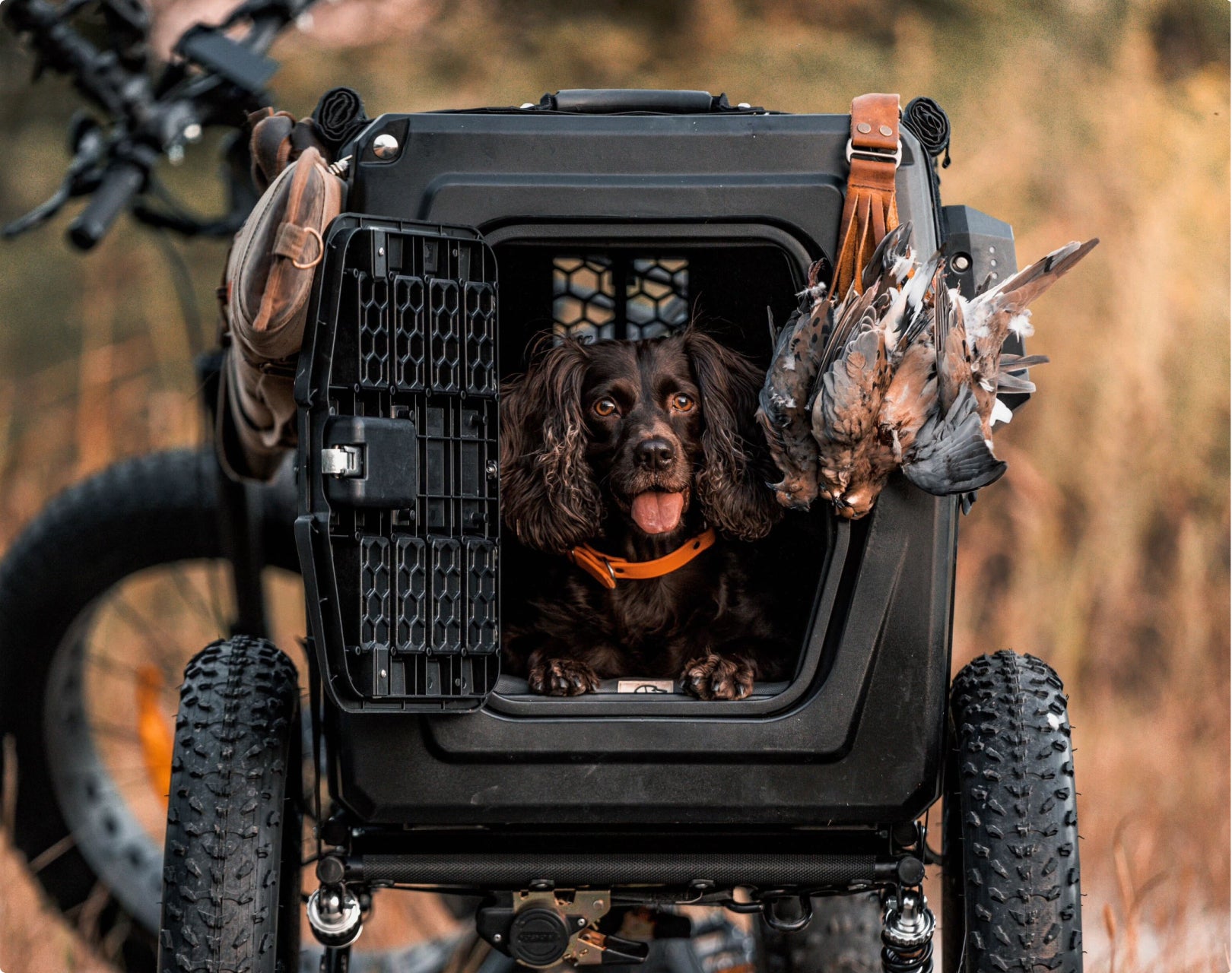 Gunners Up Dog Ramp GUNNER Dog Crate | Crash Tested Travel | GUNNER Kennels