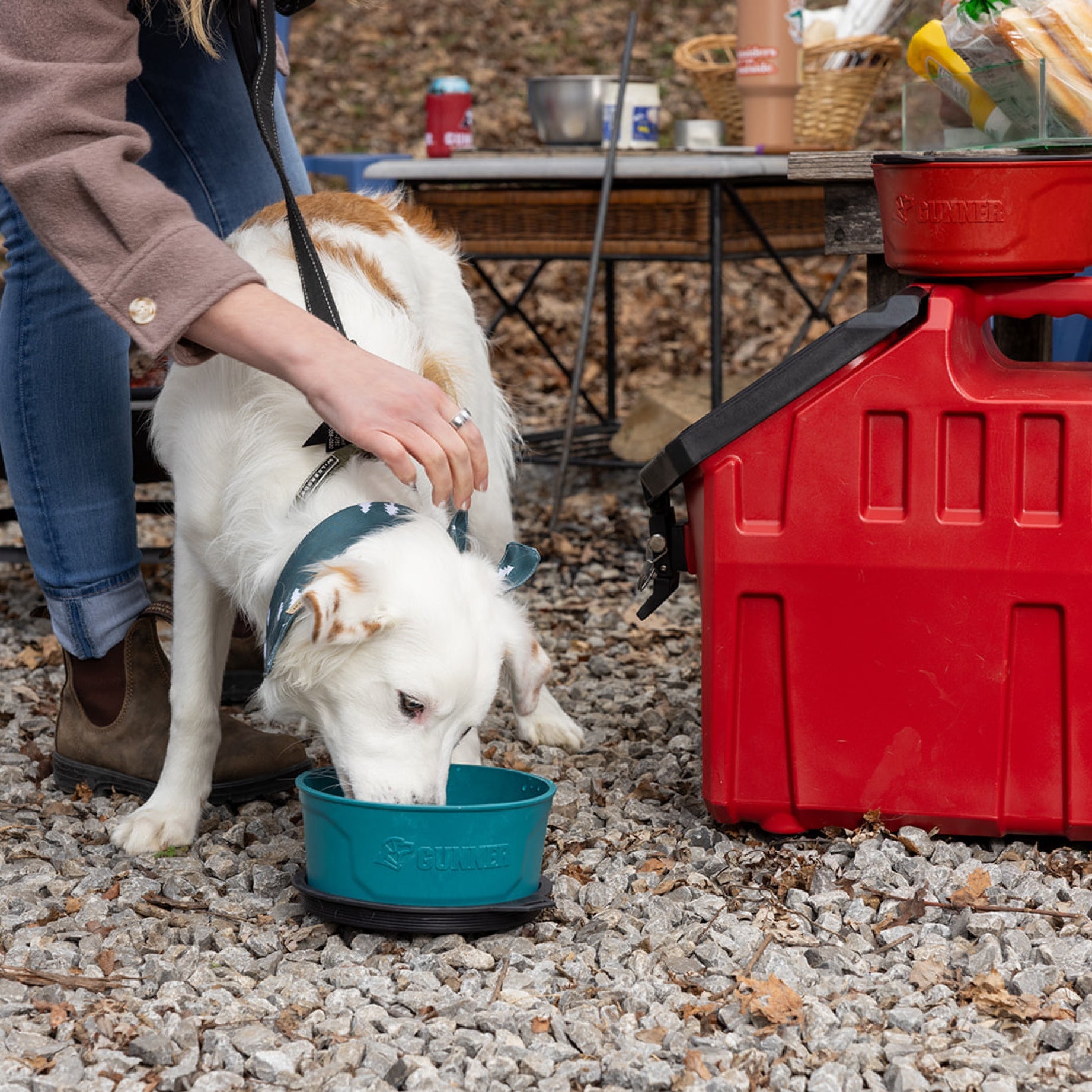 GUNNER DOG BOWL - Teal