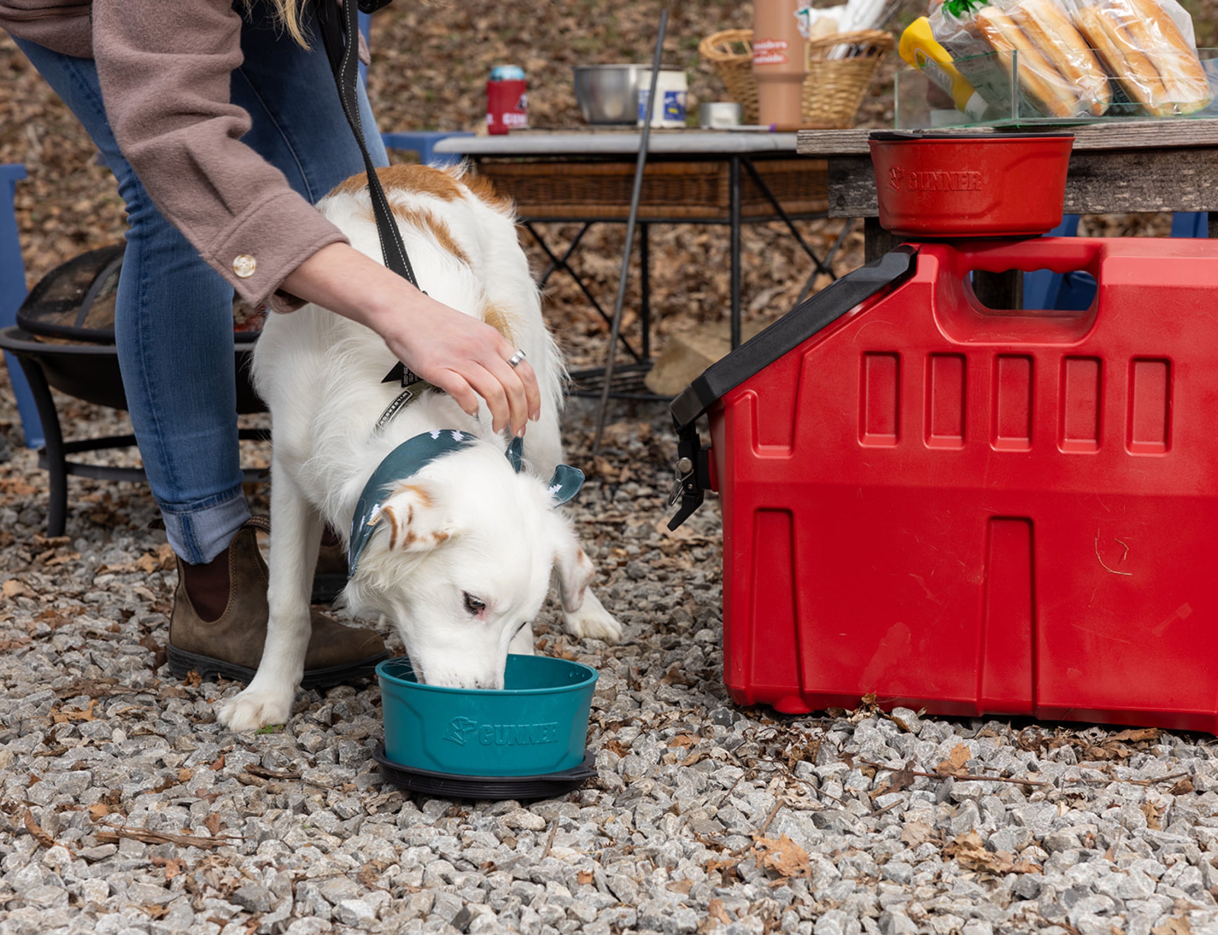 GUNNER DOG BOWL - Teal