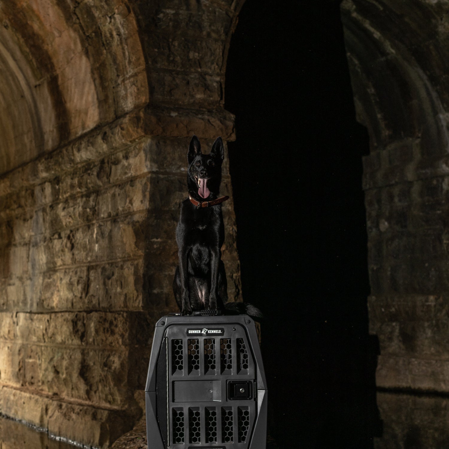 A black dog with pointed ears sits atop the large, grated GUNNER G1™ KENNEL - FLINT in a dim stone tunnel, its tongue out as shadowy light highlights this secure dog crate beneath it.