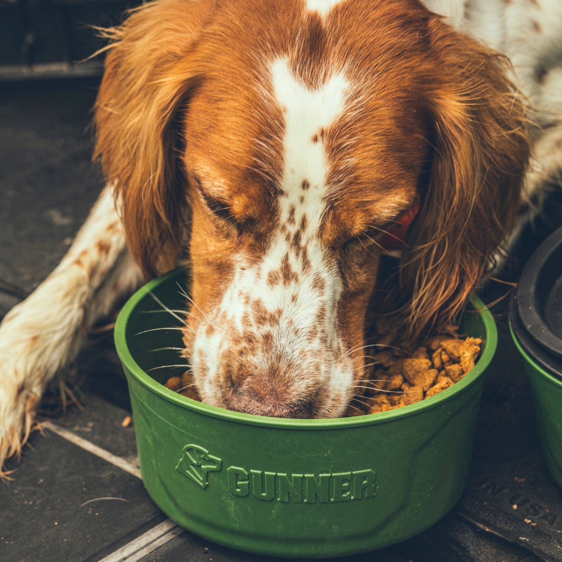 GUNNER DOG BOWL - GUNMETAL