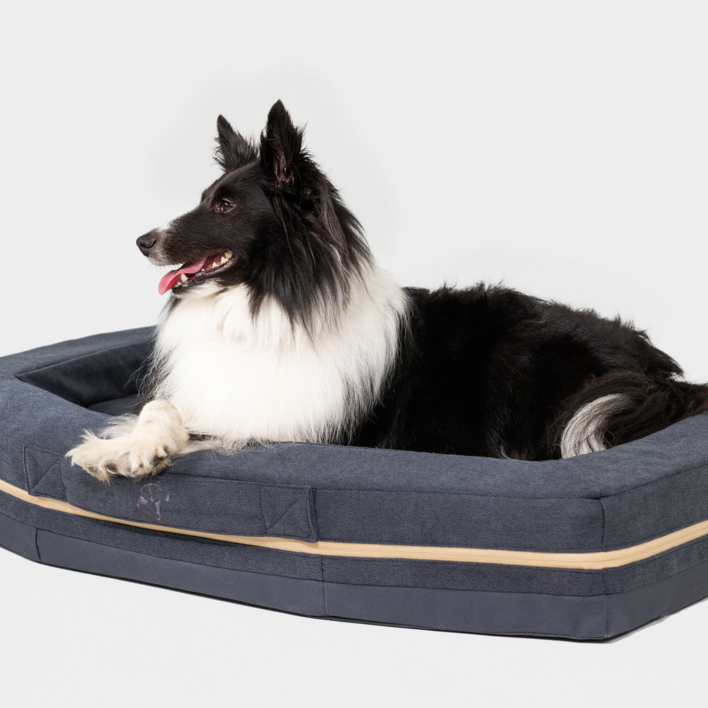 A black and white dog with a fluffy coat lies on the GUNNER HOMESTEAD DOG BED in Harbor Blue, looking left with its mouth open and tongue out against a plain white background.