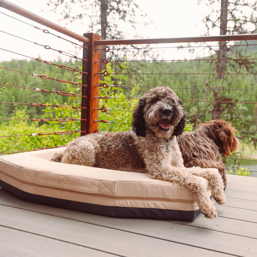 Two dogs relax together on the durable GUNNER HOMESTEAD DOG BED Oak, placed on a wooden deck amid greenery and trees—one dog faces forward, while the other looks to the side.