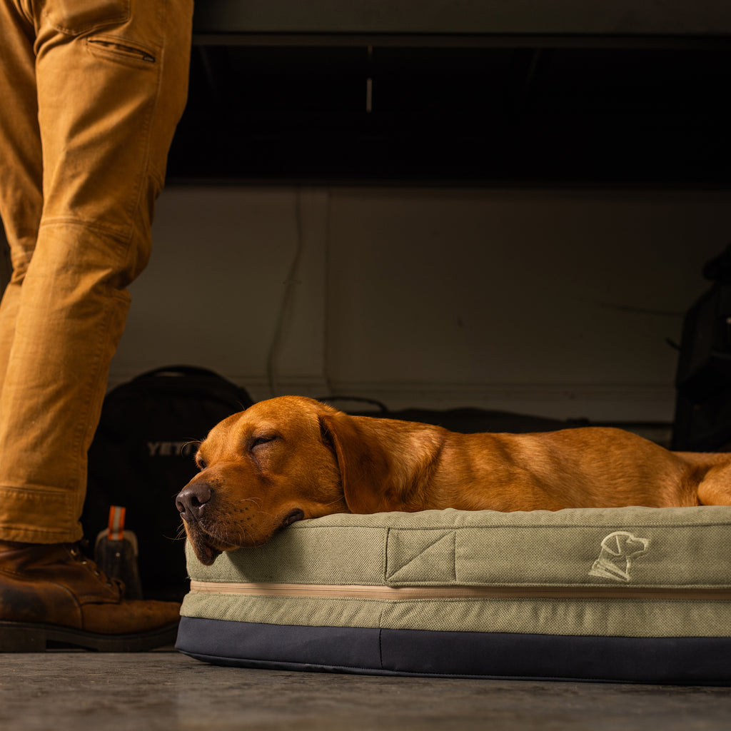A brown dog sleeps on the GUNNER HOMESTEAD DOG BED Treeline Green, while a person in tan pants and brown boots stands nearby on a concrete floor.