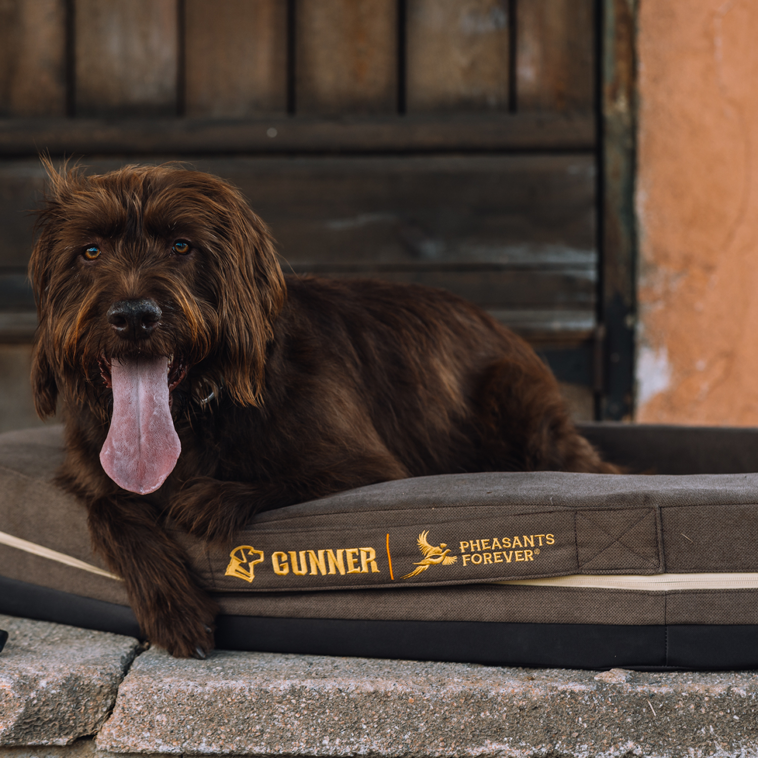 A brown shaggy dog with a long tongue lies on a GUNNER HOMESTEAD DOG BED in Pheasant Brown, labeled with the brand name, near a rustic wooden door and stone ledge.