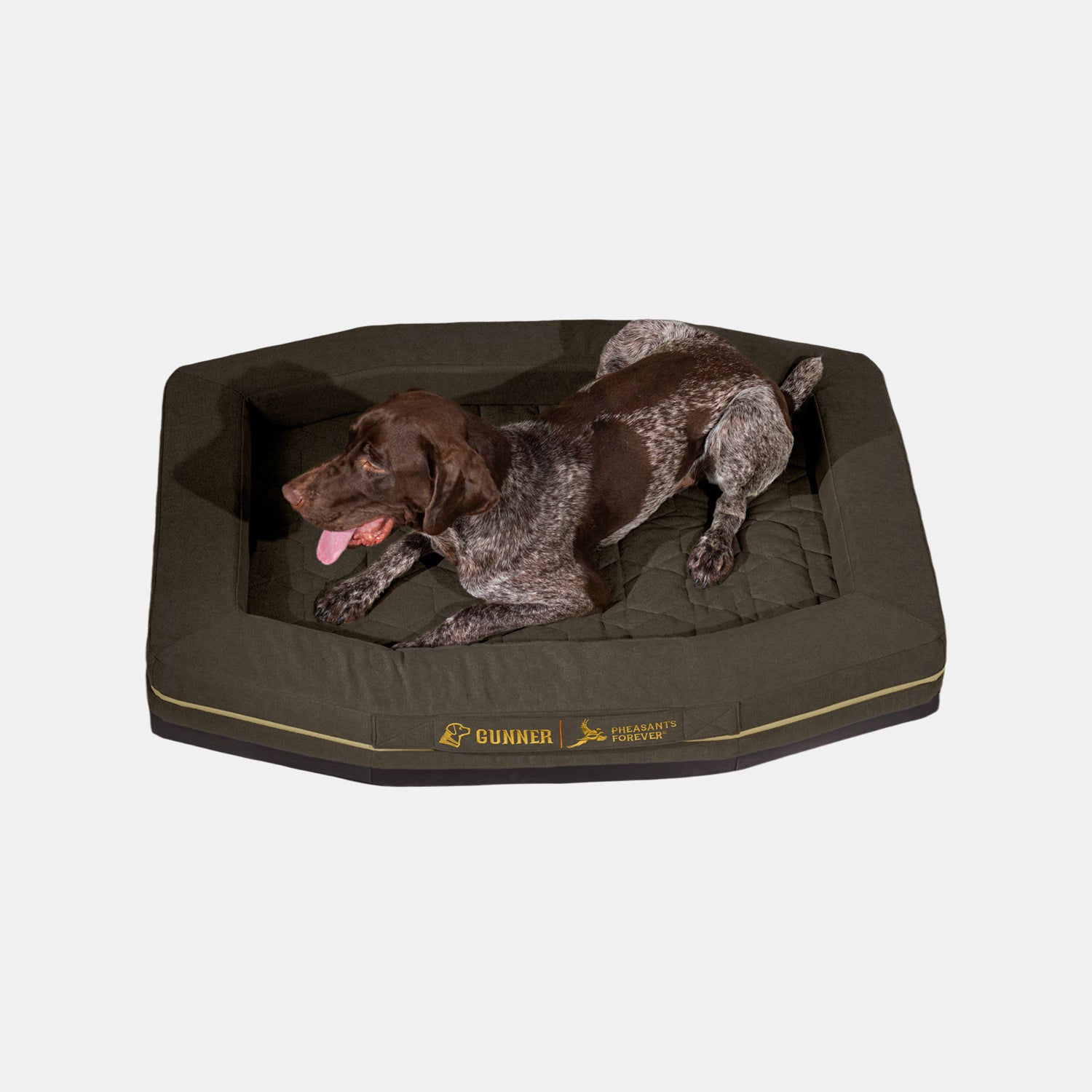 A brown and white dog is lying on a dark green, hexagonal GUNNER HOMESTEAD DOG BED in Pheasant Brown, a durable special edition created in collaboration with Pheasants Forever for ultimate comfort.