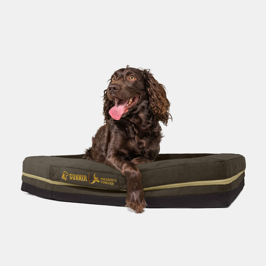 A brown, long-eared dog lies on a green HOMESTEAD DOG BED Pheasant Brown by GUNNER, featuring special-edition logos, looking up with its mouth open and tongue out against a plain white background.