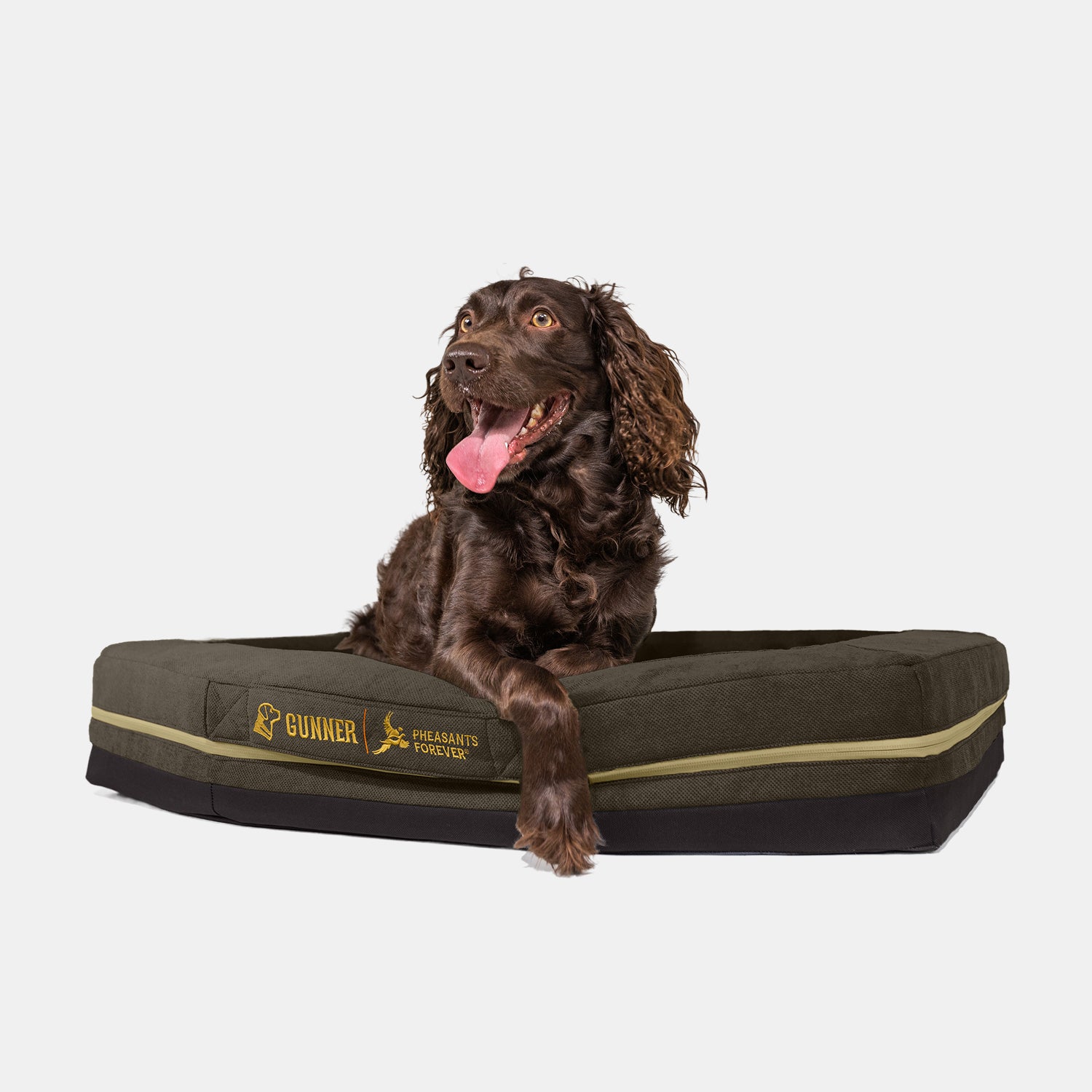 A brown, long-eared dog lies on a green HOMESTEAD DOG BED Pheasant Brown by GUNNER, featuring special-edition logos, looking up with its mouth open and tongue out against a plain white background.