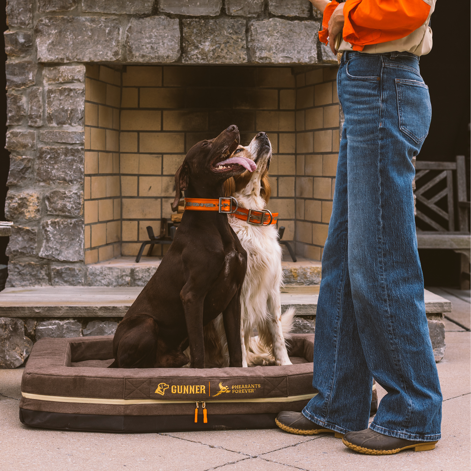 Two dogs rest on the GUNNER HOMESTEAD DOG BED in Pheasant Brown, wearing orange collars by a stone fireplace, looking up at a person in blue jeans and orange—a tribute to our Pheasants Forever collaboration and special-edition hunting gear.