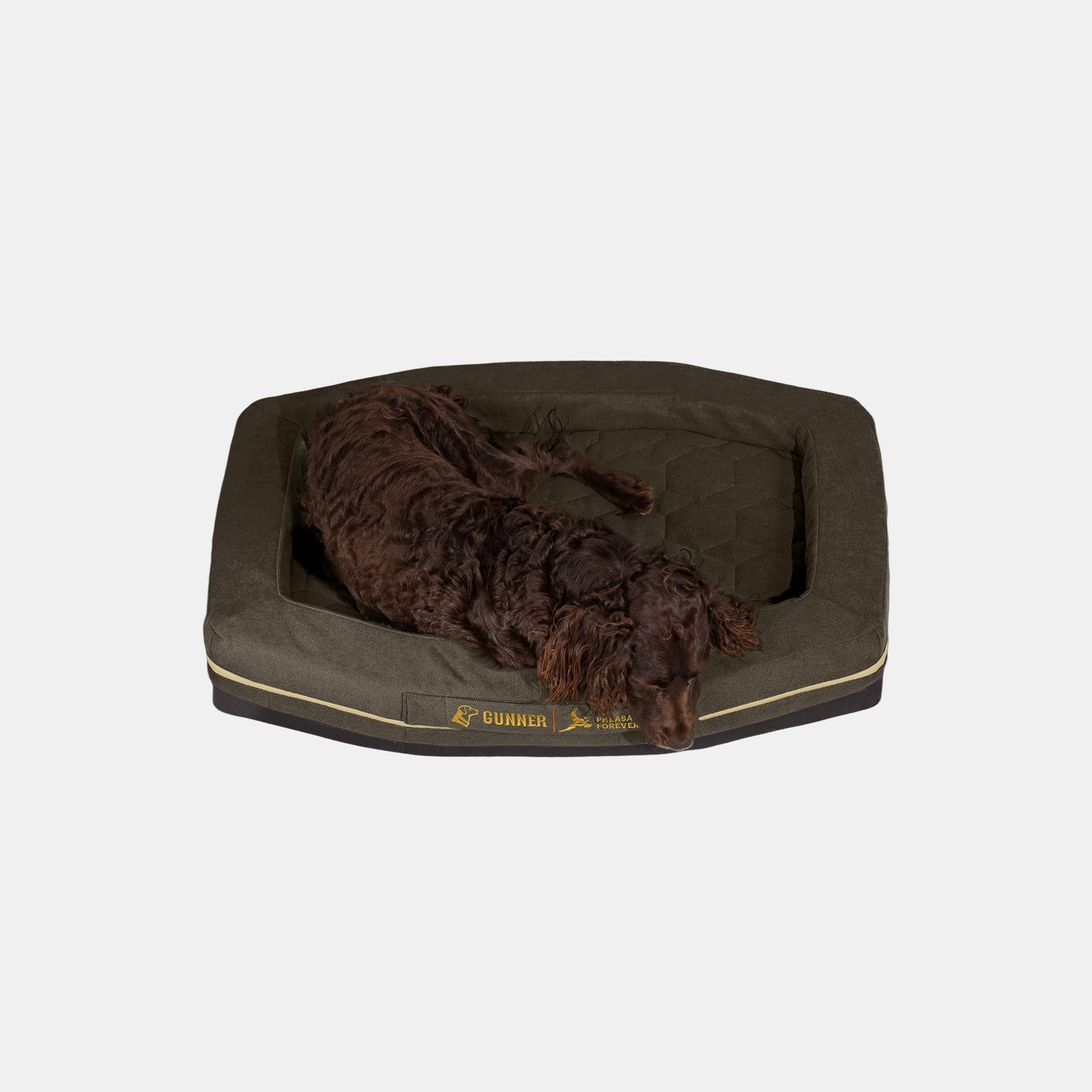 A brown dog lies on the GUNNER HOMESTEAD DOG BED in Pheasant Brown, which features raised edges and a quilted surface, inspired by our Pheasants Forever collaboration, set against a plain light background.