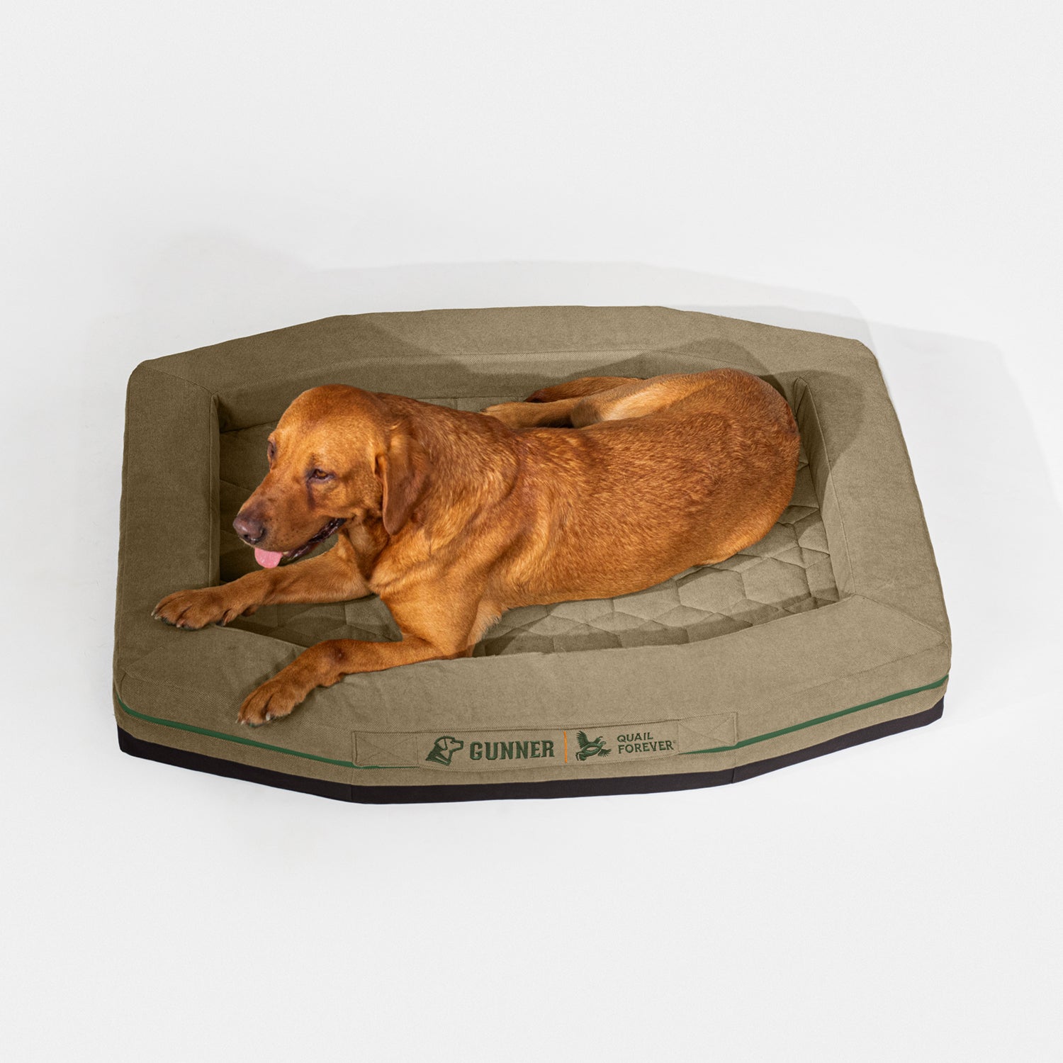 A brown dog lies on a large, hexagonal GUNNER HOMESTEAD DOG BED in Quail Tan, featuring the brand name and logo on the side. The dog looks forward with its mouth slightly open.