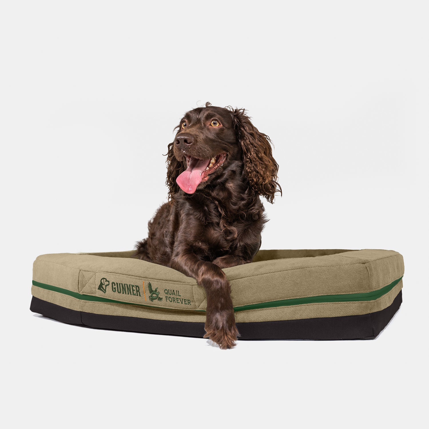 A brown dog with curly ears relaxes on a green and black HOMESTEAD DOG BED Quail Tan by GUNNER, showing the Quail Forever Tan logo, looking alert with its tongue out against a plain white background.