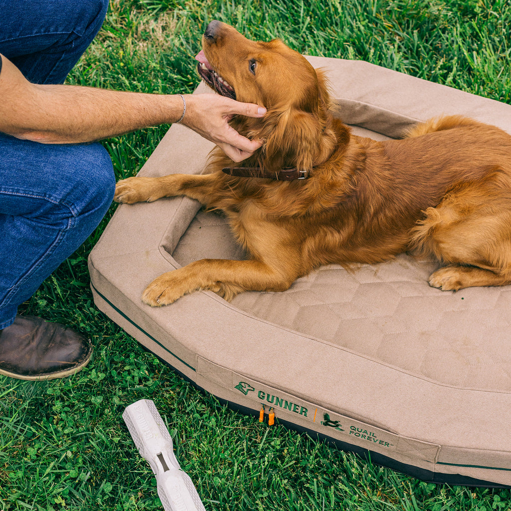 A golden retriever relaxes on the GUNNER HOMESTEAD DOG BED in Quail Tan outdoors, gazing up at a person in jeans and boots. A white dog toy sits nearby in the grass—perfect comfort for Pheasants Forever adventures.