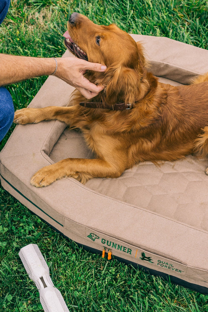 Dog lying on a GUNNER dog bed with a person petting it outdoors.