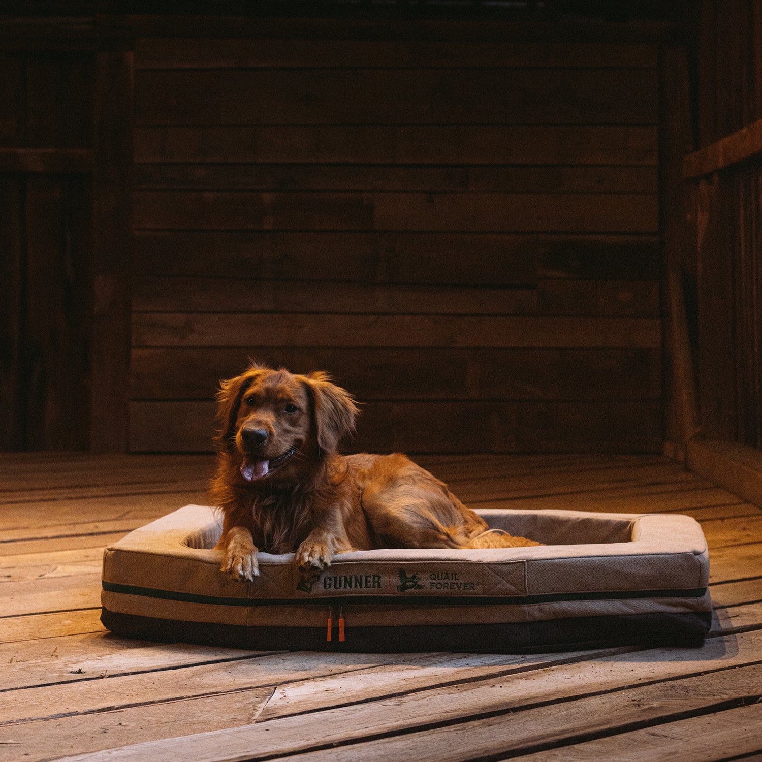A brown dog relaxes on a GUNNER HOMESTEAD DOG BED in Quail Tan, resting comfortably on a wooden floor in a dimly lit rustic room with wooden walls.