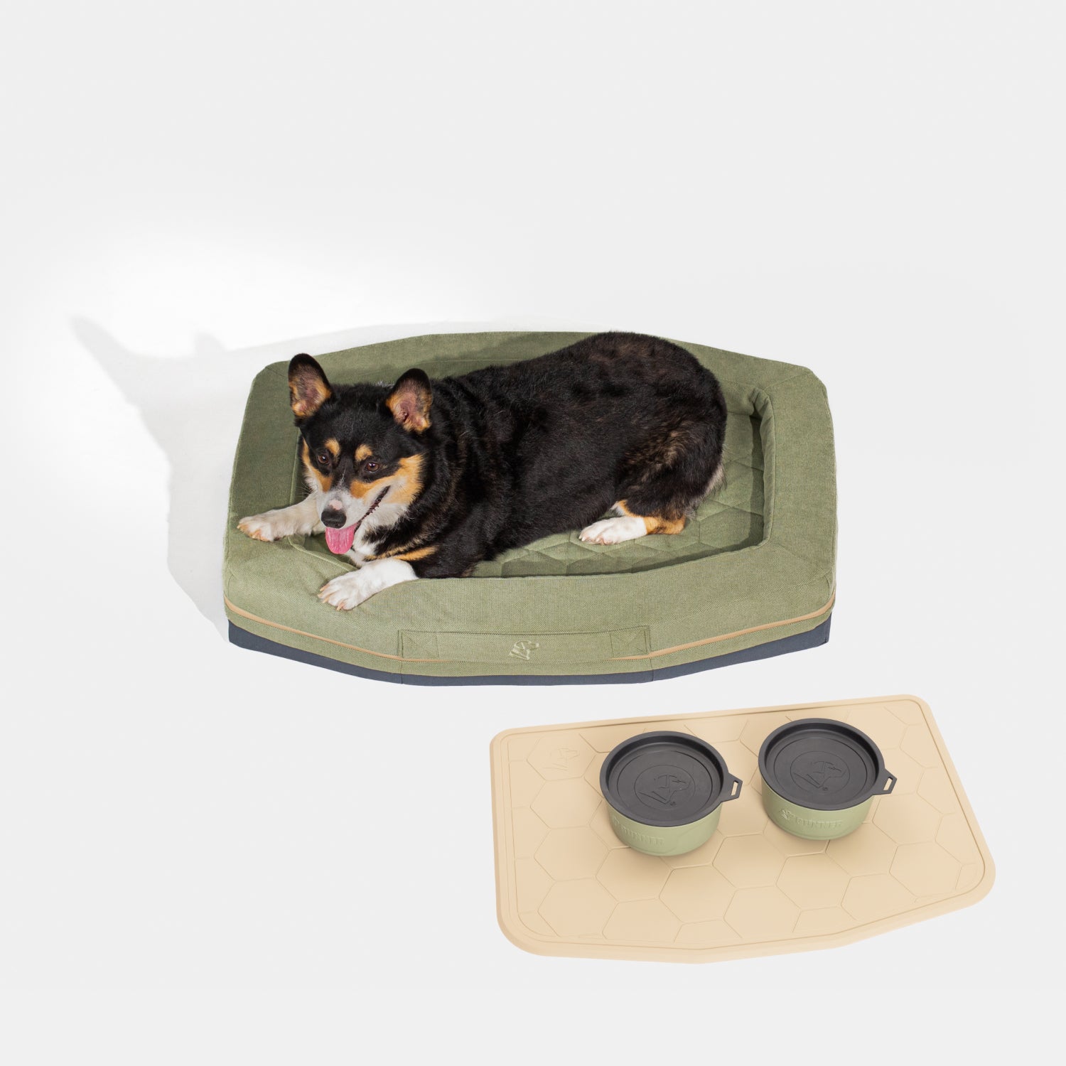 A black, brown, and white dog rests on the green GUNNER leather-tagged dog bed from the In-Home Bundle. In front, a beige mat holds two green and black GUNNER dog bowls. The scene features a plain white background.