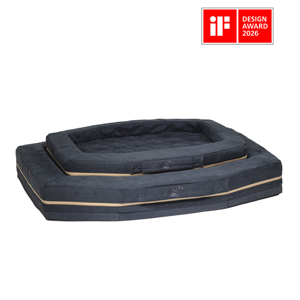 Two stacked, dark gray rectangular pet beds with raised edges and tan trim are shown on a white background—perfect for use in a dog kennel or as outdoor gear. A red iF Design Award 2026 badge is in the upper right corner.