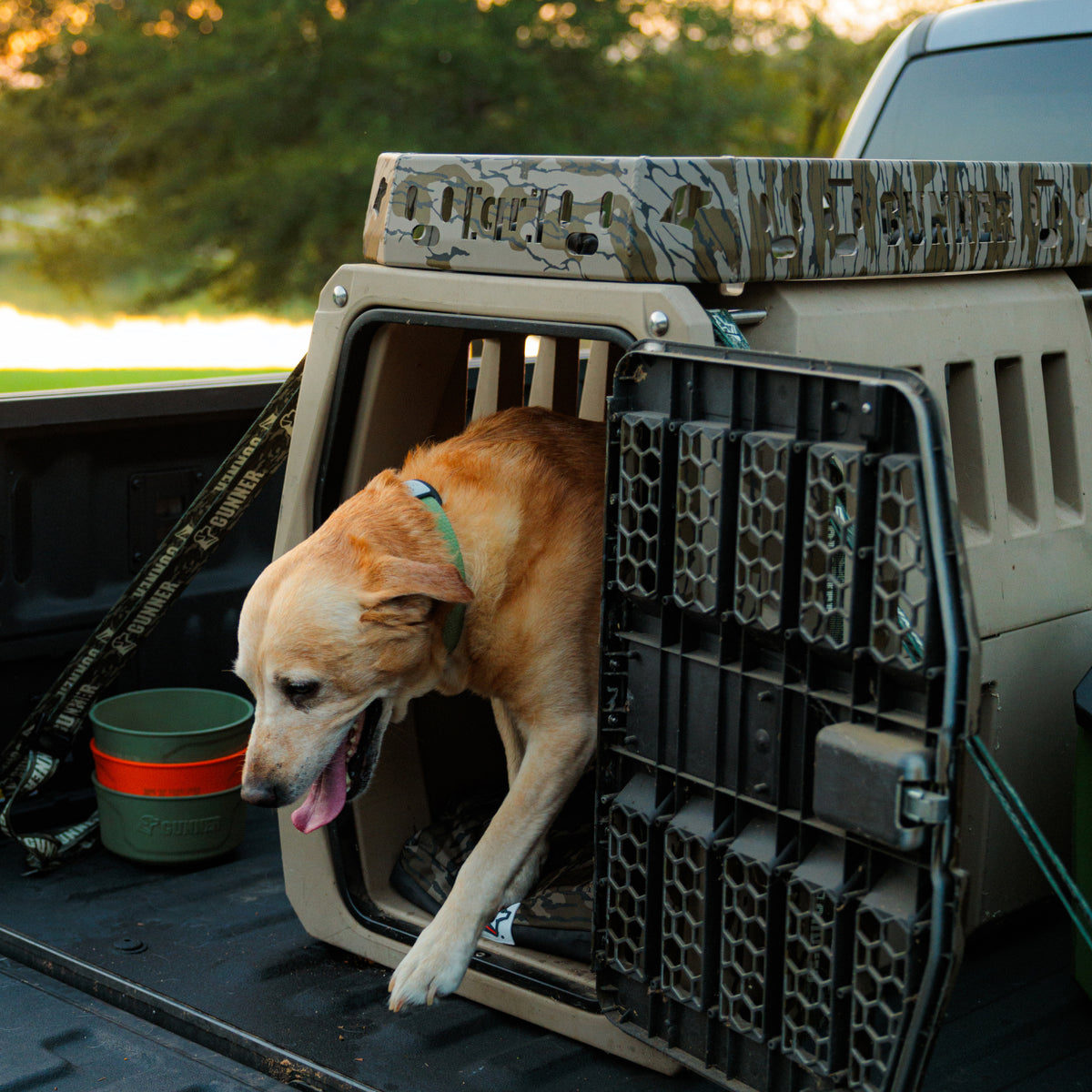 A yellow dog steps out of a GUNNER Kennel Rack - Mossy Oak Bottomland, securely positioned in the back of a pickup truck to maximize truck bed space, with green and orange bowls nearby and trees visible in the background.