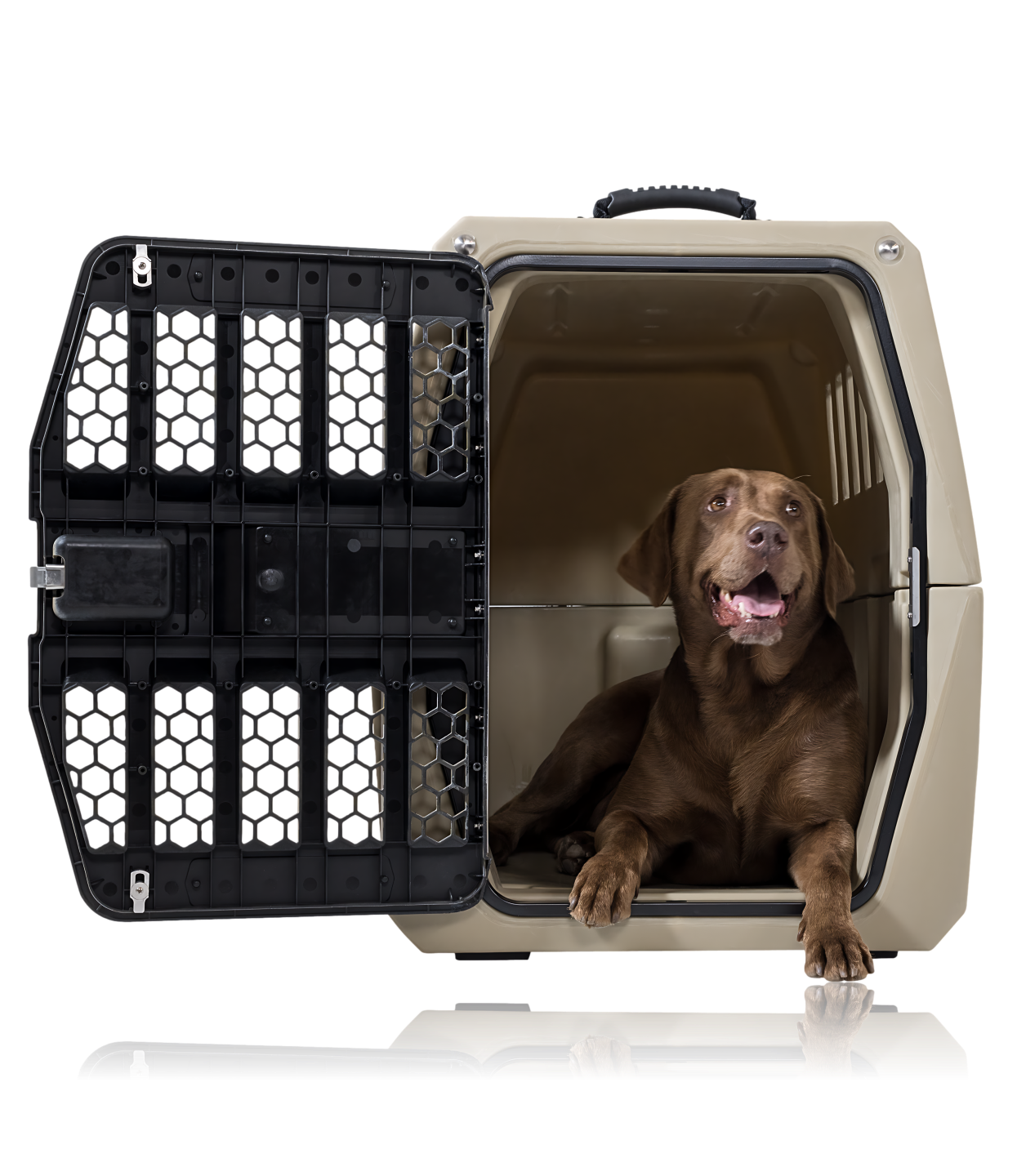 Safest dog kennel for car new arrivals