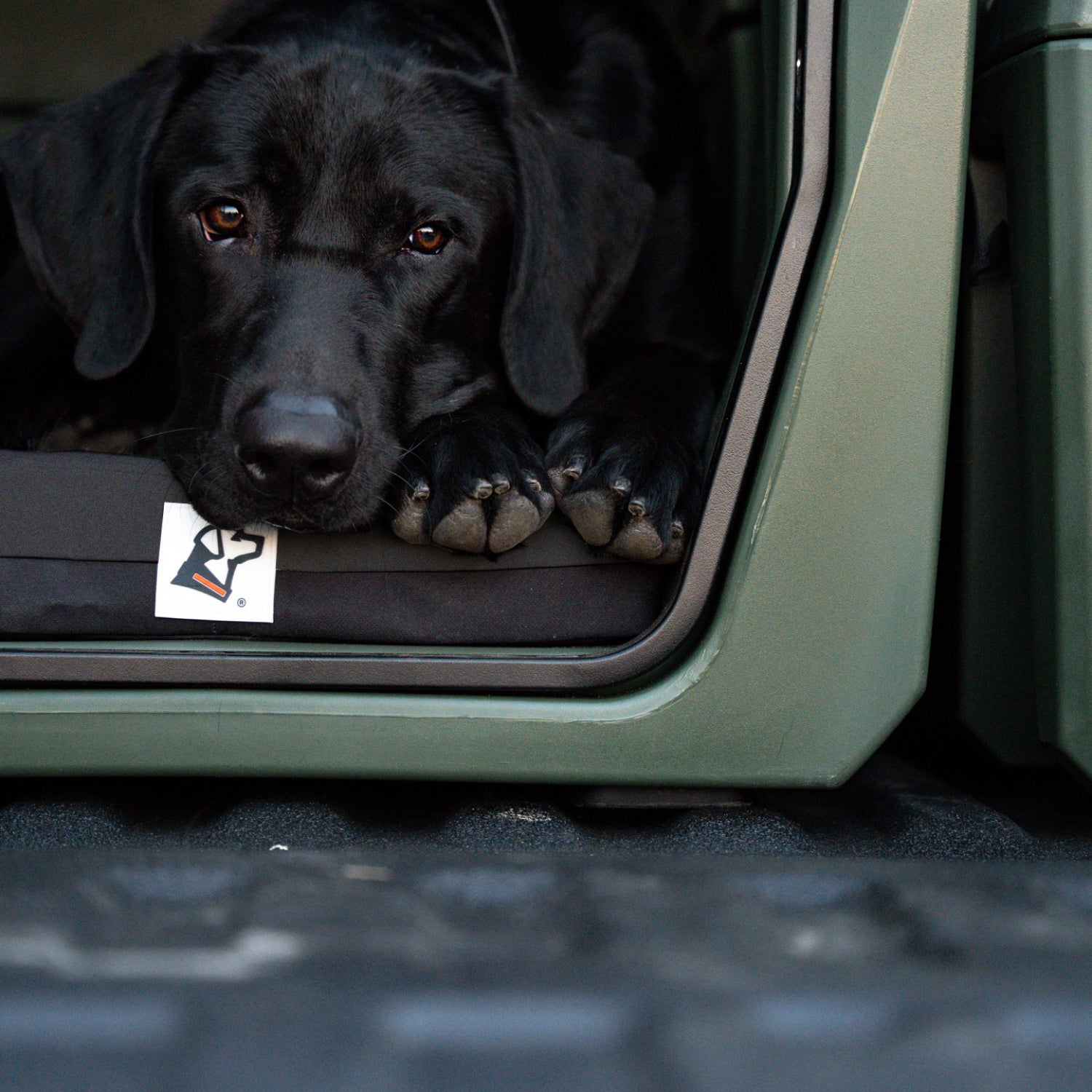 A black dog rests its head and paws on the edge of a green crate, lying comfortably on the GUNNER LONG HAUL BED—a waterproof dog bed that ensures protection and coziness inside the crate.